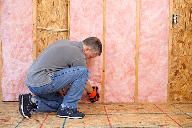 Best Eco-Friendly Insulation in White House, TN