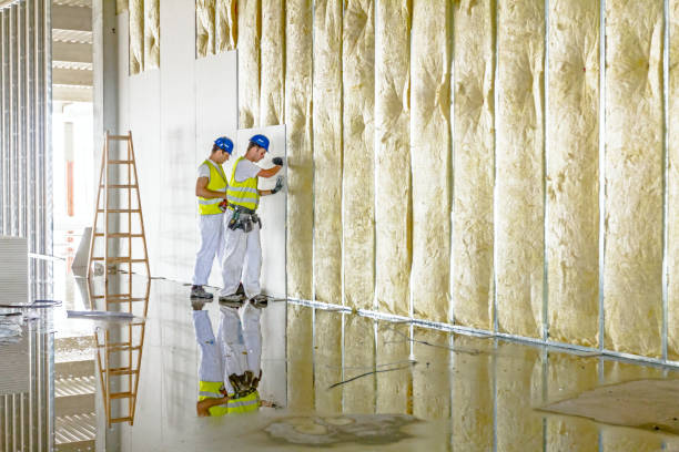 Best Spray Foam Insulation in White House, TN